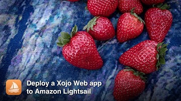 Deploy Xojo Web to AWS Lightsail using Lifeboat