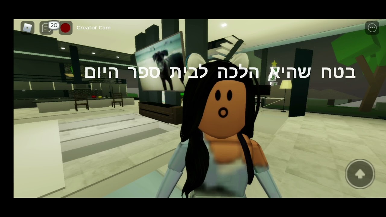 17 רעיונות של Roblocx