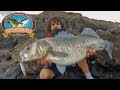 Lure fishing for big sea bass double figure sea bass on samson lures pt 3