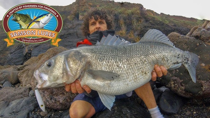 Shore Fishing - SPINNING for Sea BASS from the ROCKS - Dexter Wedge 