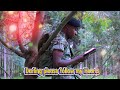 Koppa Gekon-Jungle Love