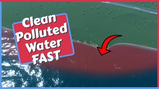 How to Clean Polluted Water FAST in Cities Skylines 2