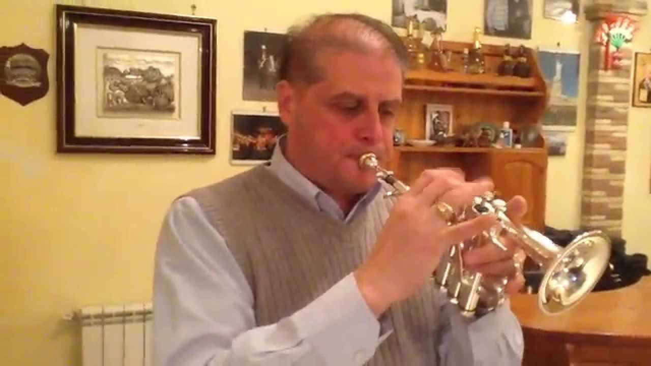 Santino Torre - Ligonziana - Di - Nino Ippolito