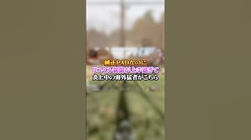 【APEX】純正PADなのにリコイル制御が上手過ぎて炎上中の海外猛者がこちら#apex #apexlegends #fyp #おすすめ #tiktok #ゲーム #shorts