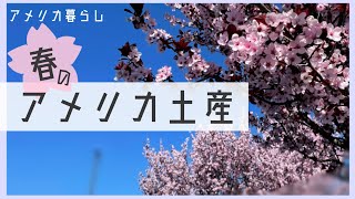 アメリカの春のイベント、イースター商品など日本へお土産紹介します！ターゲット(target)、ウォルマート(walmart)、トレーダージョーズ(Trader Joe’s)の商品をご紹介します