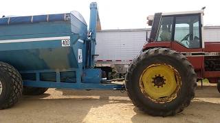 1486 IH With Kinze 400 Grain Cart Unload To Semi