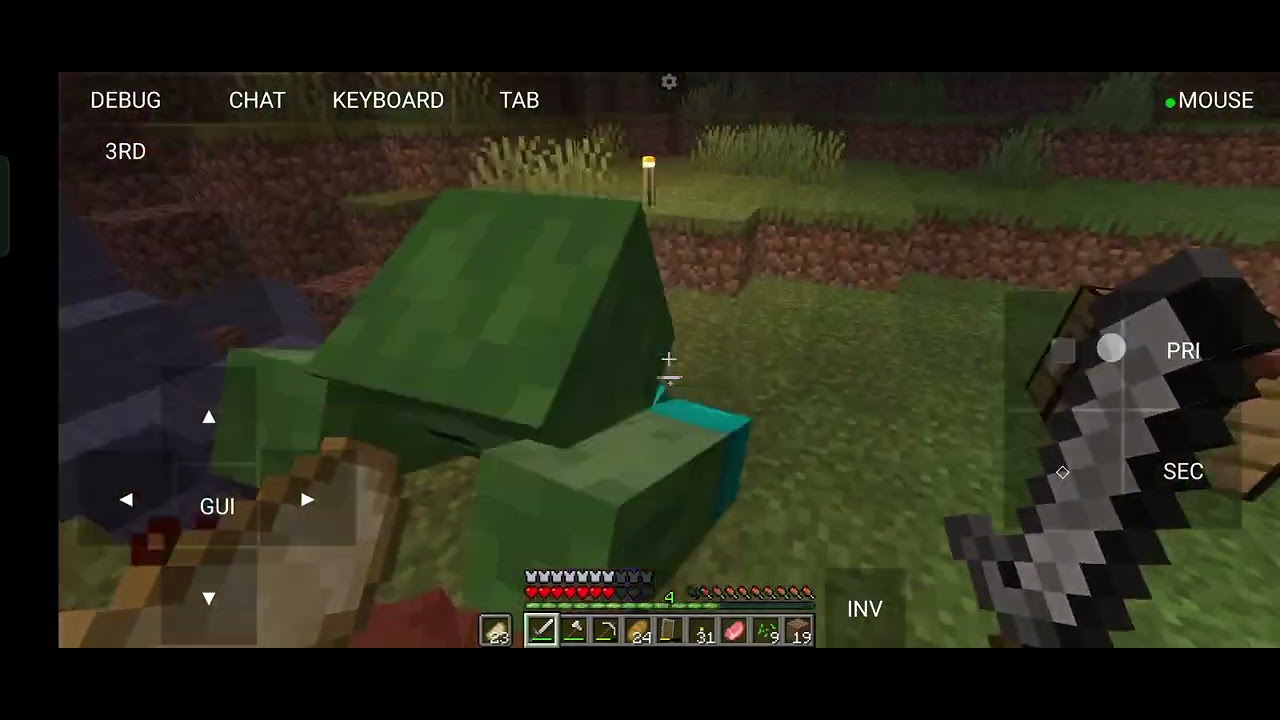 playing Minecraft server with my friend - YouTube