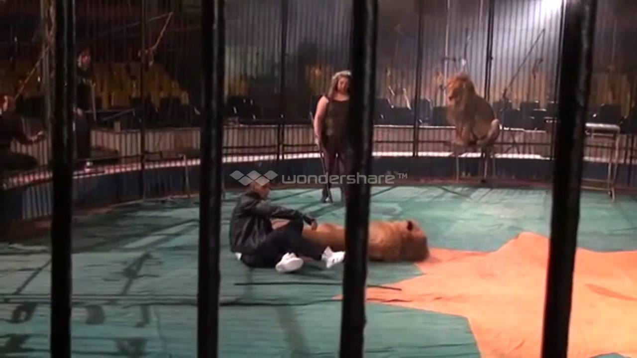 الفنان محمد رمضان مع الاسد