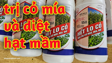 Hd289.Thuốc trừ cỏ mía diệt cả hạt mầm cỏ