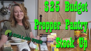 $25 Budget Prepper Pantry Stock Up form Dollar Tree by Homestead Corner 6,986 views 4 weeks ago 10 minutes, 5 seconds