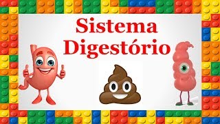 Trabalha circulatório como o rim sistema com o