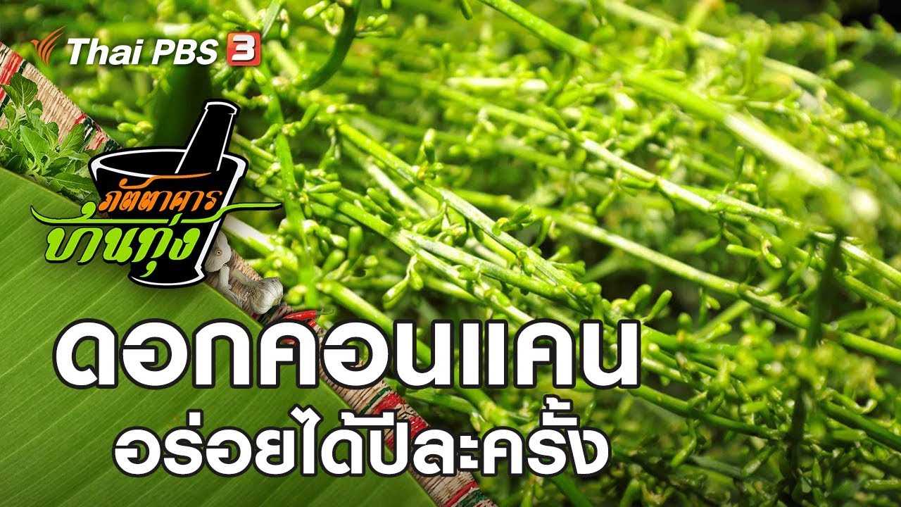 ดอกคอนแคน : ภัตตาคารบ้านทุ่ง (21 มี.ค. 63) | สรุปเนื้อหาที่เกี่ยวข้องคอน แคนที่มีรายละเอียดมากที่สุด