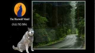 Bluewolf Motel Travel Log