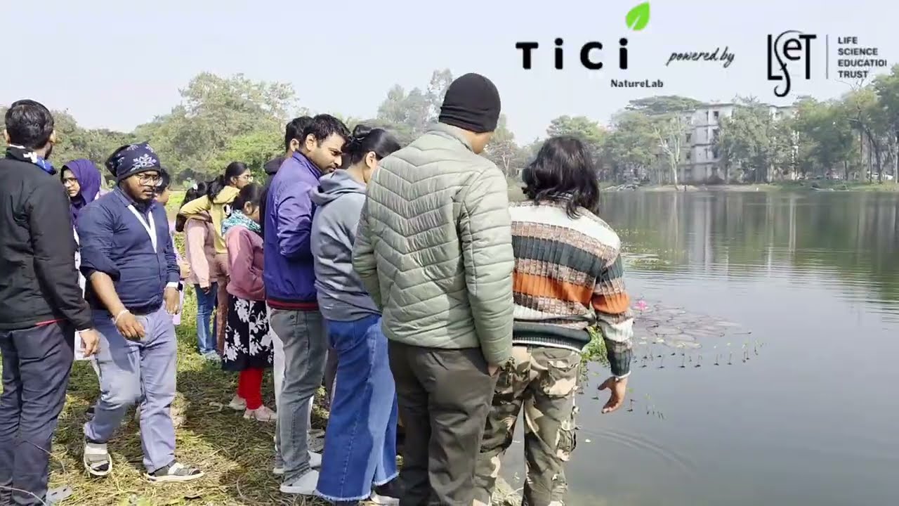 Aqua scaping Is Not a Hobby Anymore | Learn Real Aquatic Ecosystem Skills at TiCi Nature Academy
