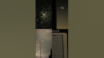 {هنالك دعا زكريا ربه} #القارئ_ماهر_المعيقلي حالات واتس اب دينية مقاطع قصيرة ستوريات 🥺✨ #قرآن #quran