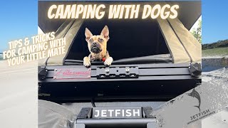 HOW TO GO CAMPING WITH YOUR DOG IN AUSTRALIA  I  NATIONAL PARKS  I  CARAVAN PARKS  I  KENNEL STAYS