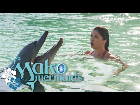 برايم فيديو: Mako Mermaids, Season 2