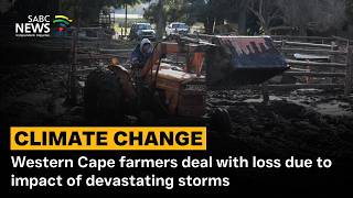 Climate Change | Western Cape farmers deal with loss due to impact of devastating storms