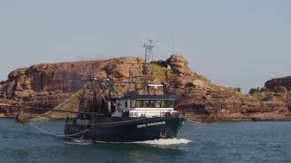 Austral Fisheries CEO David Carter - Our Commitment to Sustainability