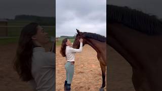 Famous Welcome to our YTB channel 🥰IG : srhluisa #shorts #horse Wealth