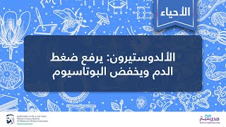 الألدوستيرون: يرفع ضغط الدم ويخفض البوتاسيوم | الأحياء | فسيولوجيا الجهاز البولي المتقدمة