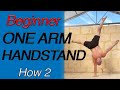 Start Training the One Arm Handstand. How To