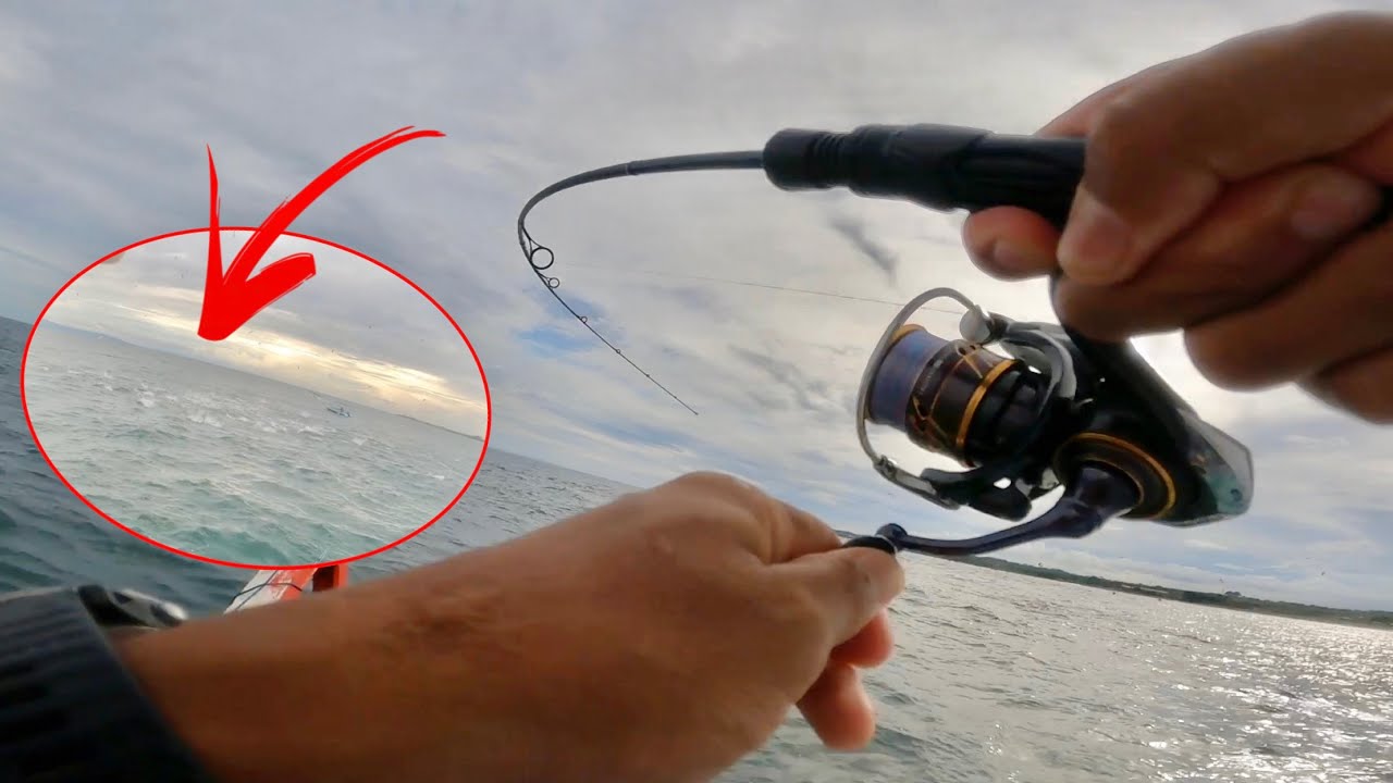 ASLI PANIK! BOILLING IKAN SAK LAPANGAN BOLA, LEMPAR LANGSUNG STRIKE!