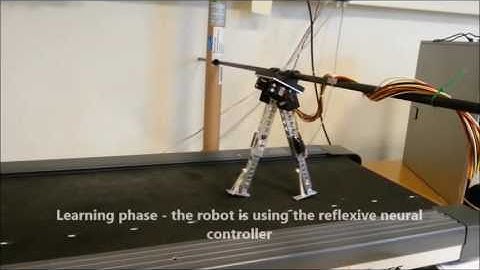 DACBOT: Locomotion under adaptive combinatorial neural control