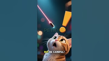 Why Do Cats Go Crazy for Laser Pointers? The Reason Is Hilarious!