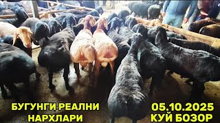 картинка: Куй бозорда нарх кандай 🤔 Ан кургонтепа удар кузилар чикди ☎️бор 