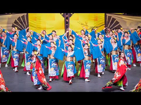 [4K] kagura　【ファイナル演舞】犬山踊芸祭 2022　2日目 (中央)