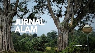 Jurnal Alam | Menggambar dan menulis jurnal tentang alam | Vlog Alam | Nature Journaling | Episode 1
