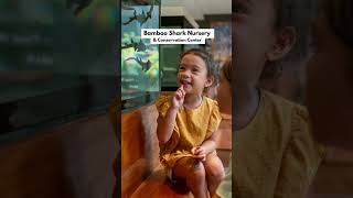 We Review JW Marriott Khao Lak Resort & Spa + the NEW JW Garden 🏖️ 🇹🇭 Southeast Asia’s longest pool screenshot 3