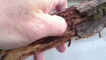 The consequences of over cladding your wooden fascias