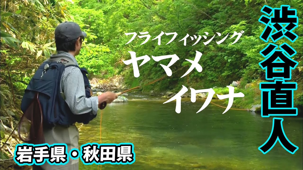 渋谷直人がサイトを中心にフライフィッシングを楽しむ 2/2 『フライギャラリー』【釣りビジョン】