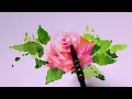 How to paint a rose in watercolor 수채화 장미 그리기 水彩,Acuarela