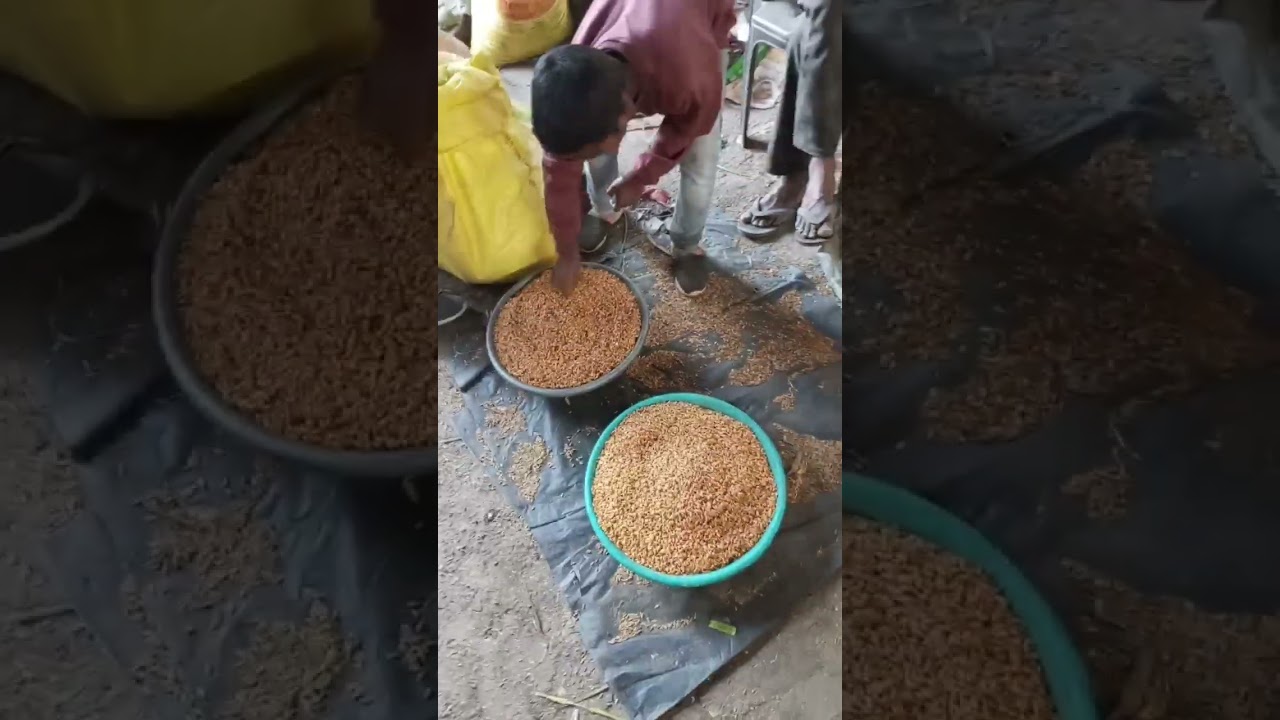 #social_media_trends