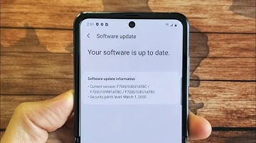 Galaxy Z Flip: How to Update Software Version (Firmware Upgrade)