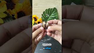 Badan lemas kembali segar hanya dengan satu bahan... #tips #tutorial #DIY #Lifehacks #health