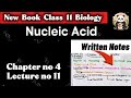 Nucleic Acids (DNA & RNA) | Structure and Function | Class 11 Biology Biomolecules
