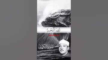قل لو كان البحرمدادا لكلمات ربي#قرآن #قران_كريم #quran#قرآن_الصباح #تلاوات_خاشعة #تلاوة_مؤثرة