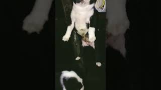 Imdin Dhjsj Ydndk Vdoddlu Jjdu