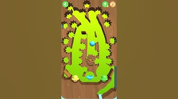 Dig This 36-7 Rabbit Hole