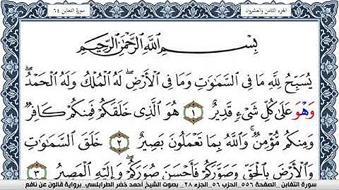 سورة التغابن احمد الطرابلسي Surah Al Taghabon  برواية قالون عن نافع