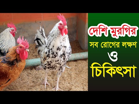 ভিডিও: Promsvyazbank-এর অংশীদার ব্যাঙ্ক। কোন ব্যাংকে আমি কমিশন ছাড়া টাকা তুলতে পারি?