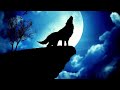 BrunuhVille - The Wolf and the Moon (2014)