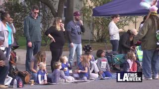 Dr.  Martin Luther King Jr. - Kingdom Day Parade