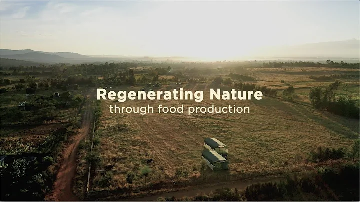 Regenerative Farming in Kenya | Circular food systems in East Africa 1/5
