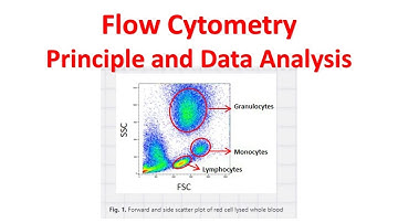 Flow cytometry Tutorial | Flow Cytometry Data Analysis | Flow cytometry Gating
