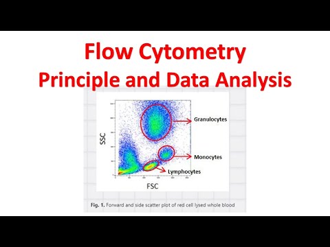 Flow cytometry Tutorial | Flow Cytometry Data Analysis | Flow cytometry Gating